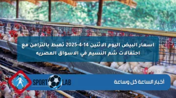 أسعار البيض اليوم الاثنين 14-4-2025 تهبط بالتزامن مع احتفالات شم النسيم في الأسواق المصرية